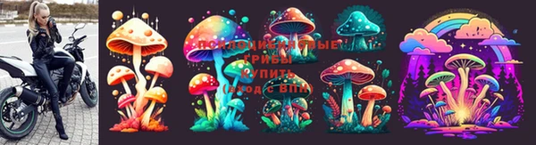 спиды Арсеньев