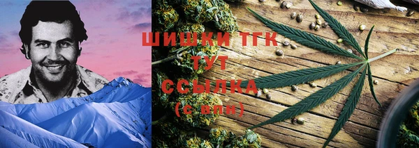 спиды Арсеньев